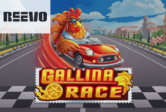 Gallina Race